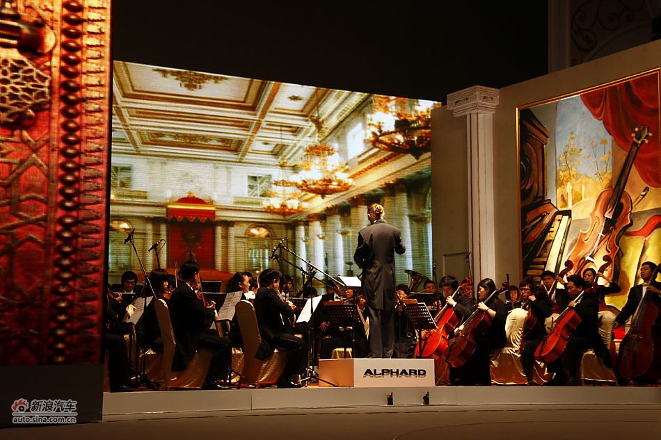 埃尔法上市现场图