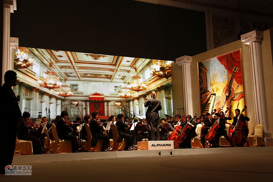 埃尔法上市现场图