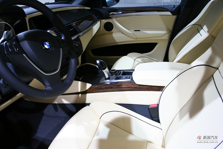BMWActiveHybridX6