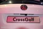 2011CrossGolfⲿϸ