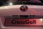 2011CrossGolfⲿϸ