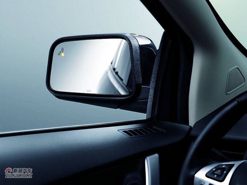 盲目信息系统(BLIS)