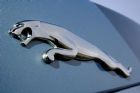 ݱJAGUAR XF