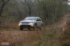 2011Jeepָ