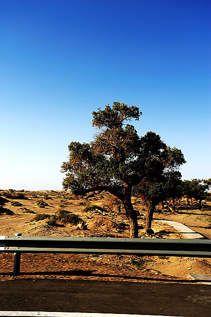 JEEP牧马人寻找Rubicon之路精彩点滴