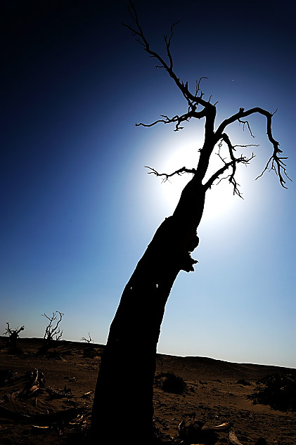 JEEP牧马人寻找Rubicon之路精彩点滴