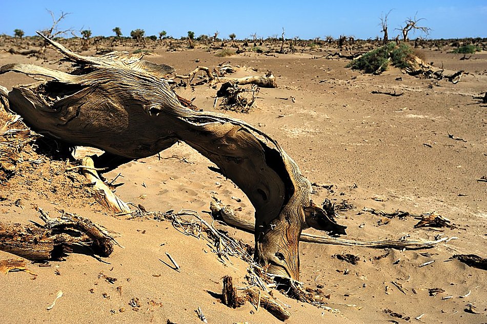 JEEP牧马人寻找Rubicon之路精彩点滴