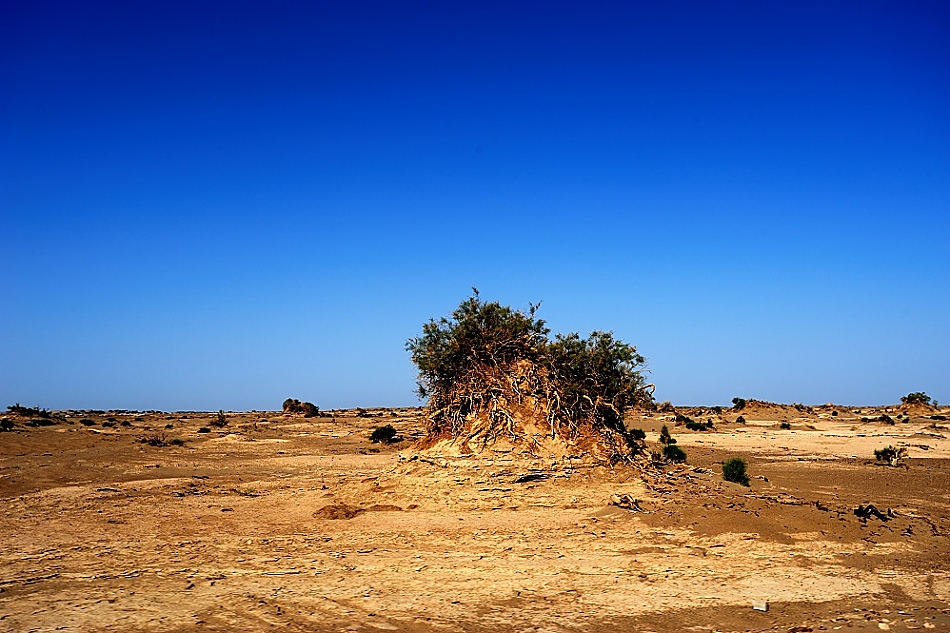 JEEP牧马人寻找Rubicon之路精彩点滴