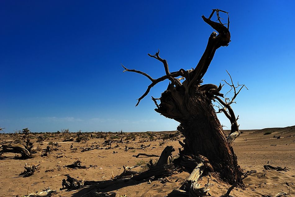 JEEP牧马人寻找Rubicon之路精彩点滴