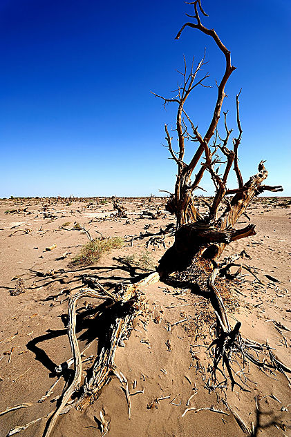 JEEP牧马人寻找Rubicon之路精彩点滴