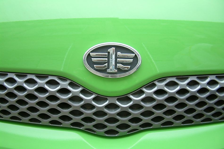 天津一汽威姿进气格栅